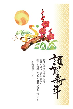 フルカラー年賀状印刷デザイン 009