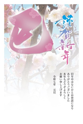 フルカラー年賀状印刷デザイン 031