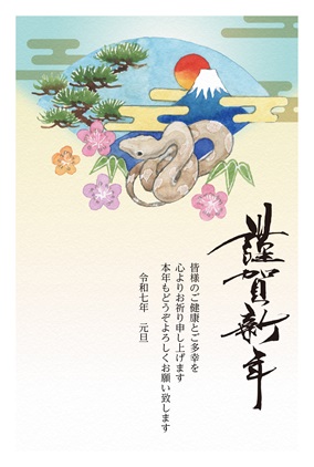 フルカラー年賀状印刷デザイン 066